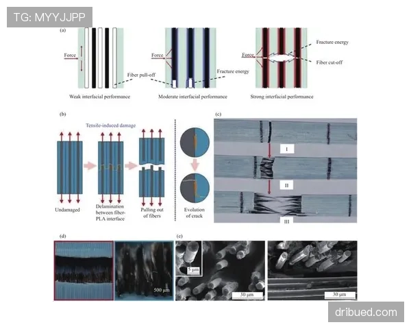 奥利塞在弱队体系中的表现是否被放大？