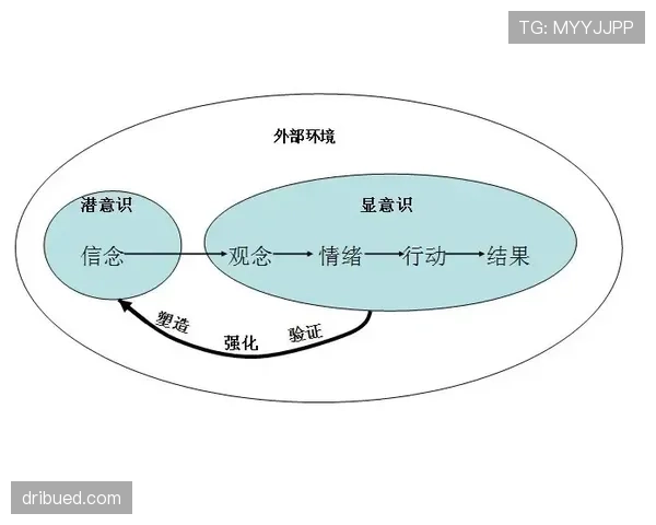 罗德里评价两极分化的核心成因：能力认知、角色适配与战术价值的深层分歧