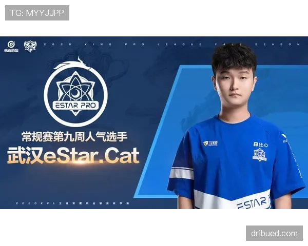 E组谁会成为媒体忽视的赢家？